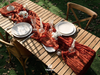 Cheesecloth Table Runner Gauze Boho Rustic 35 x 120 Inches (Terracotta)